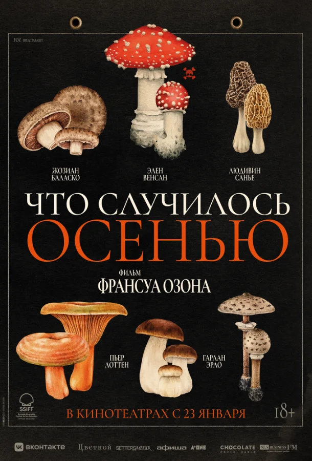 Фильм Что случилось осенью 2024 смотреть онлайн бесплатно в хорошем качестве